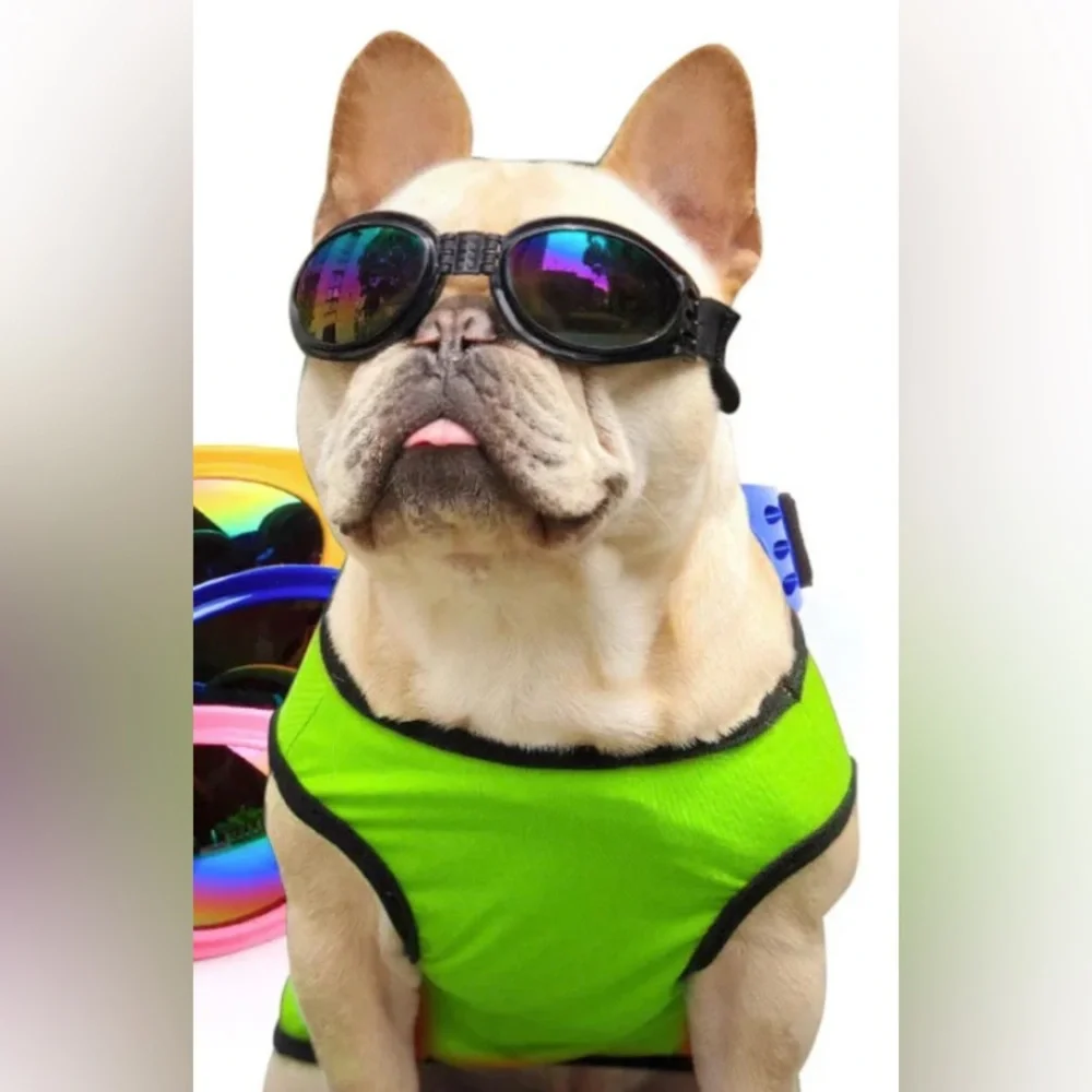 Pet goggles sun protection